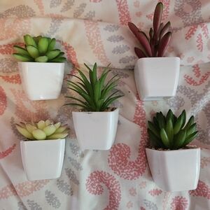 Set of 5 Faux Succulent Plants in White Pots